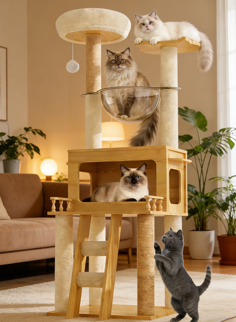 كيدل كبسولة القطة شجرة القطة تسلق الإطار برج القطة الفضاء لعب القطة - Image 1